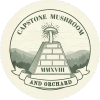 capstone mushroom