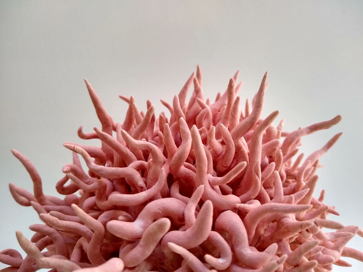 coral ceramic piece
