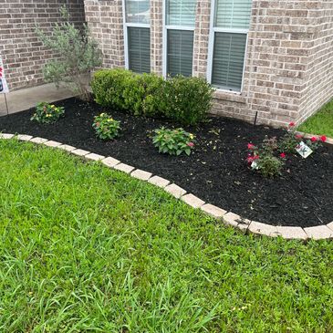 Refreshed flowerbed