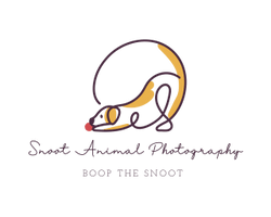 Snoot Animal Photography