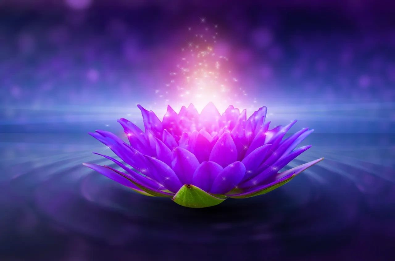 A glowing purple lotus flower emitting sparkling light on water.