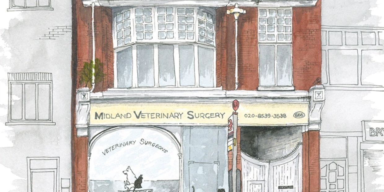 Midland Veterinary Surgery Leyton pen and watercolour urban sketch