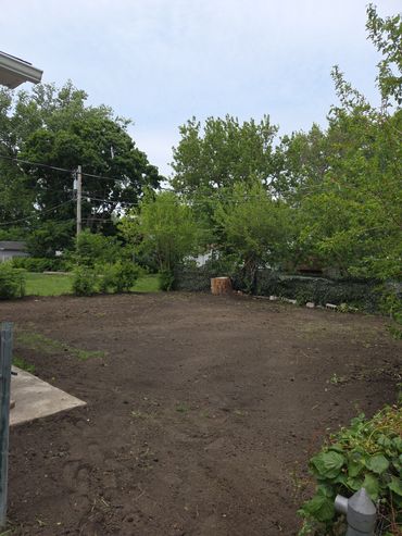 A freshly tilled garden plot surrounded by green trees and plants.