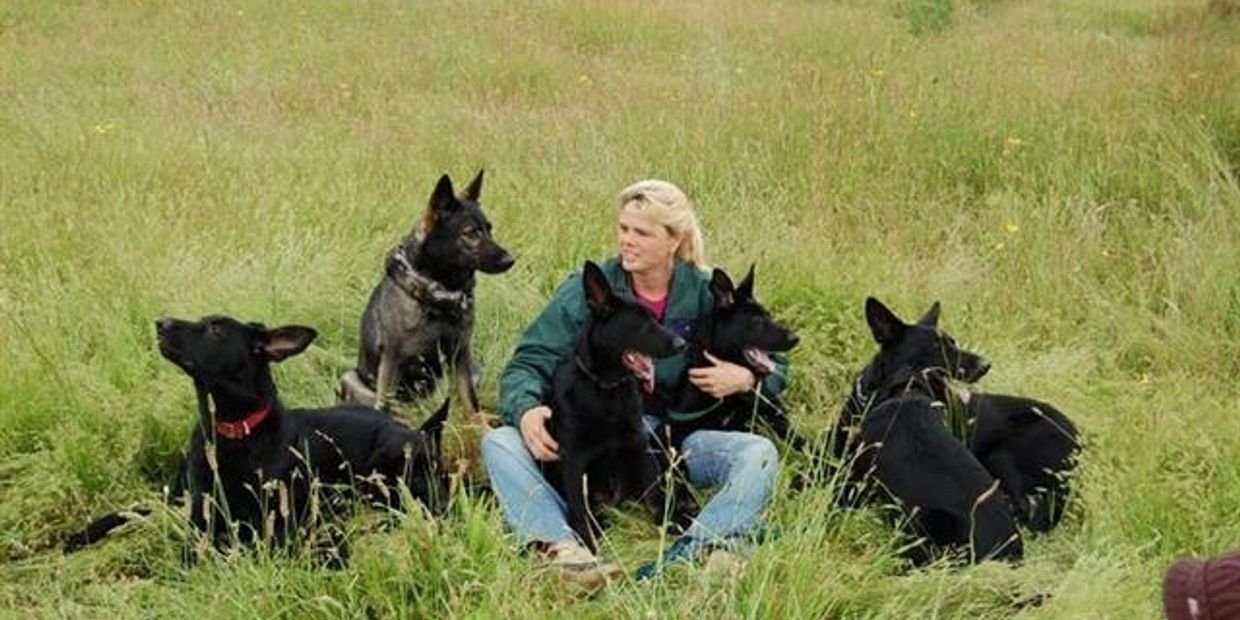 Multiple Dogs With Dog Trainer