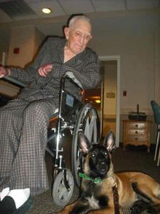 Therapy Dog