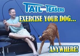 Dog Pulling Tether Tug