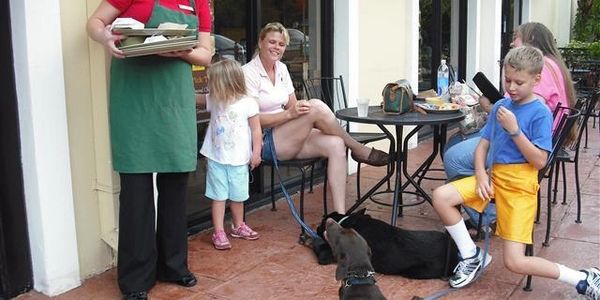 Socializing Dog In Public