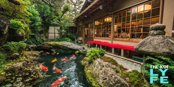 A serene and beautifully designed Koi pond, illustrating the tranquility and harmony of koi ponds