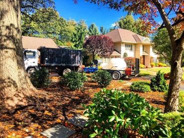 Paver Patio and Walkway Cleaning Haddonfield, NJ 