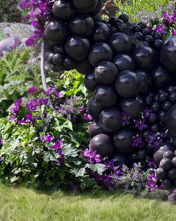 Balloon House is in Kalisan balloons in plum, combining Florisry into Balloons