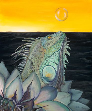 image24
