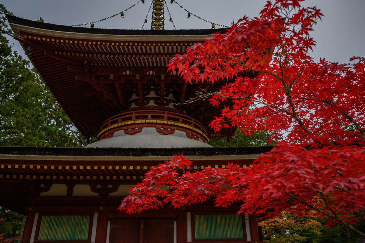 Small pagoda in Mount Koya, Honshu, Japan.