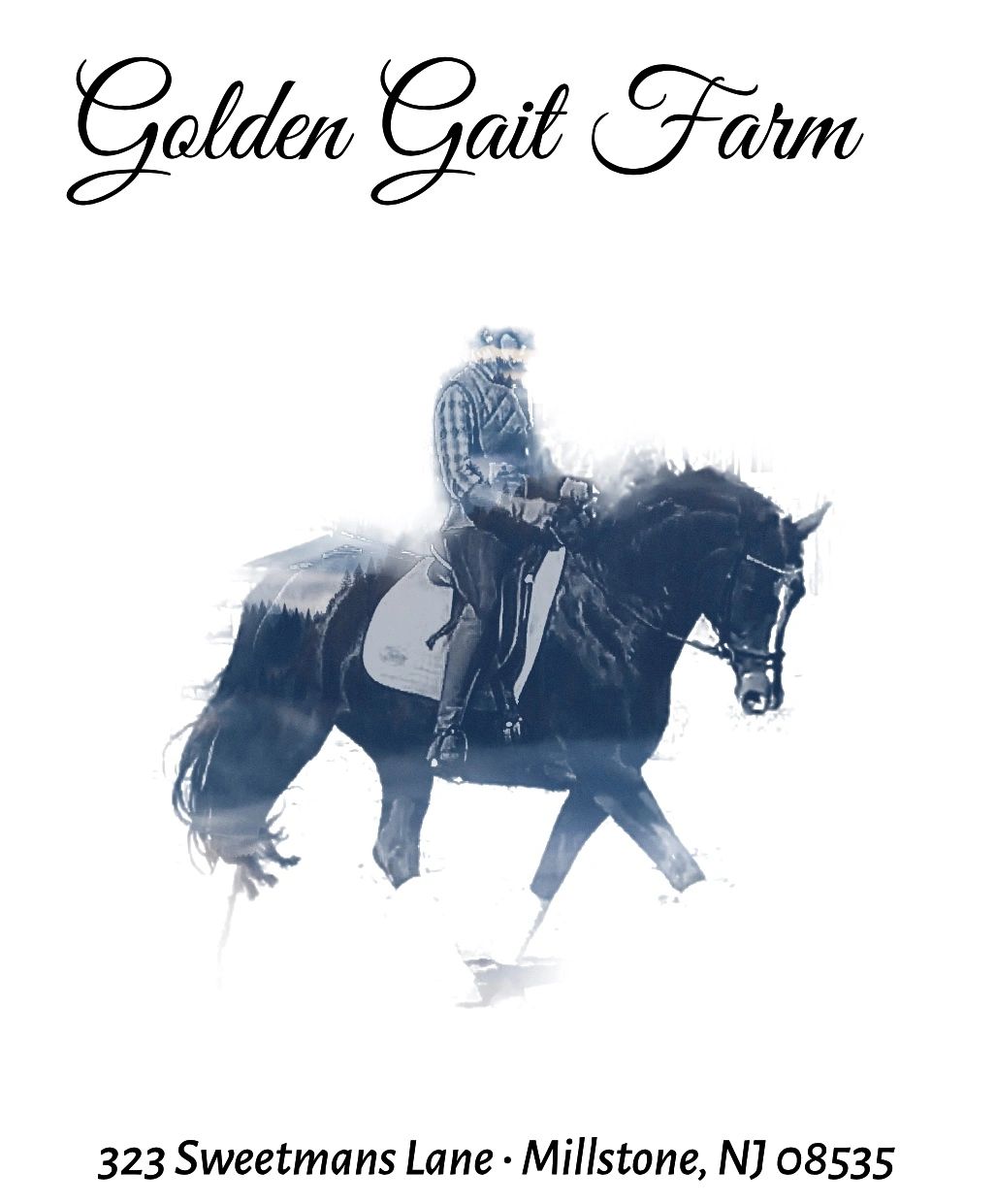 golden gaits farm