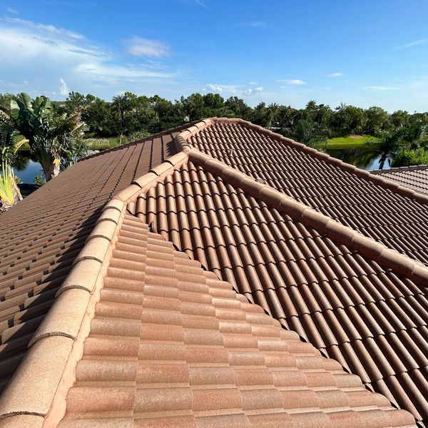 Algaecide Roof Treatment 