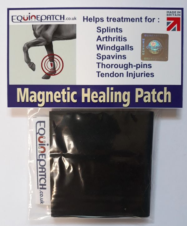 EquinePatch Equine, Shin Splints, Equine, Horse