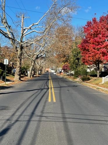 A street with yellow lines and trees on the side.