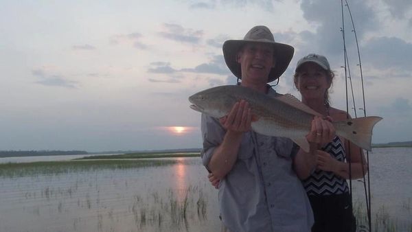 Tailing redfish during flood tide