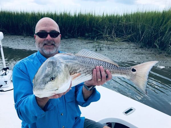 Low tide redfish