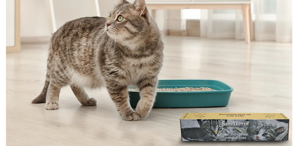 A cat near its litter tray on a living room