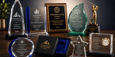 Various trophies and awards displayed on a surface.