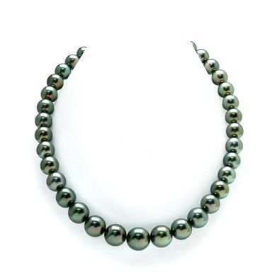French Polynesia pearls, cultivated by the black-lipped oyster Pinctada margaritifera, are iridescen