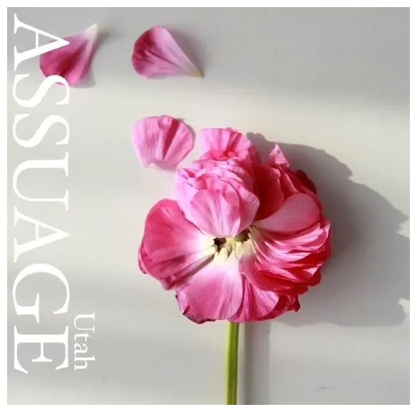 Assuage utah online