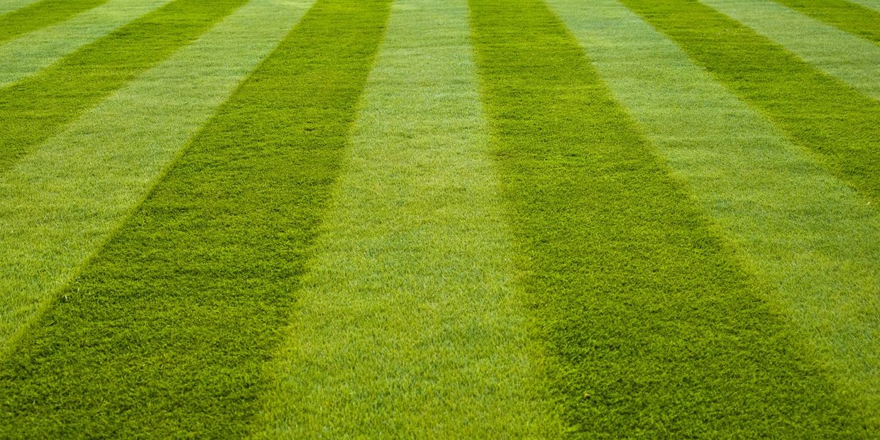 Lawn Maintenance, Lawn Mowing, Lawn Care, Yard, Grass Cutting