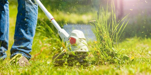 weed eating and trimming; maintenance; yard work