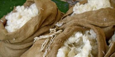 Wool: Dryer Balls