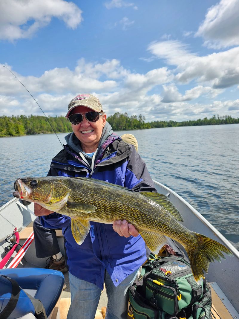 Angler holding a big Lake Vermilion walleye