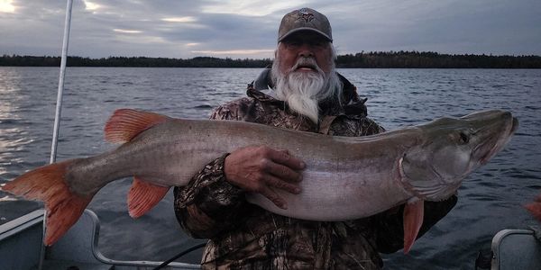 Lake vermilion walleye guide. Lake vermilion muskie guide. Vermilion fishing guide. Vermilion guide