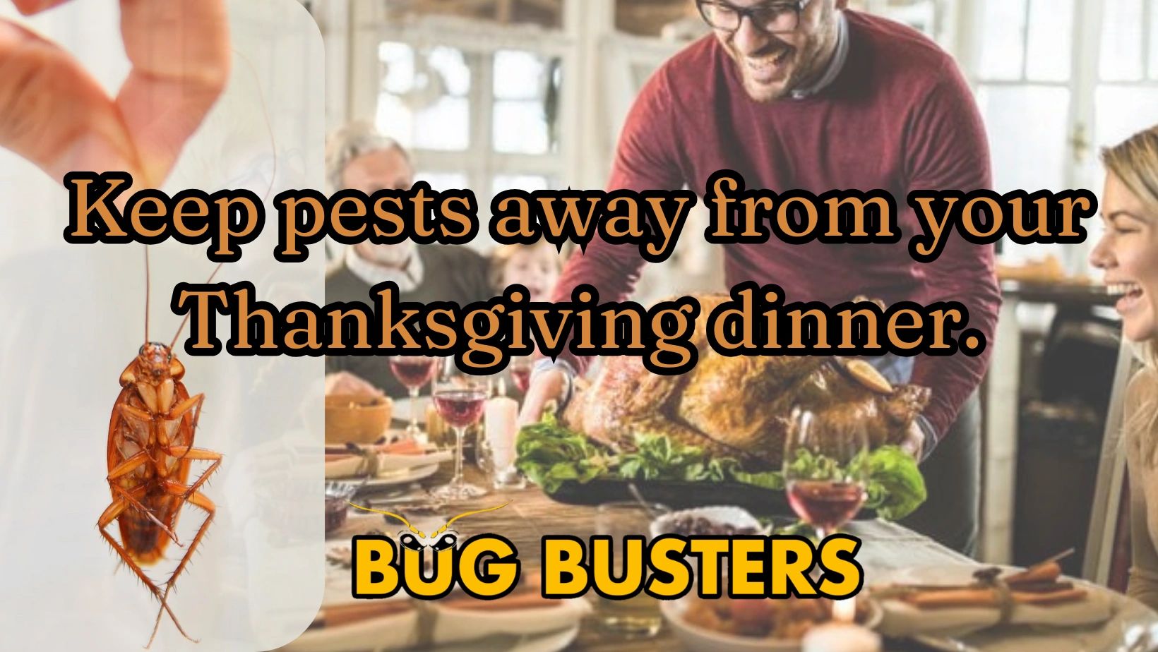Bug Busters LLC Pest Control Services, Pest Control, Exterminator
