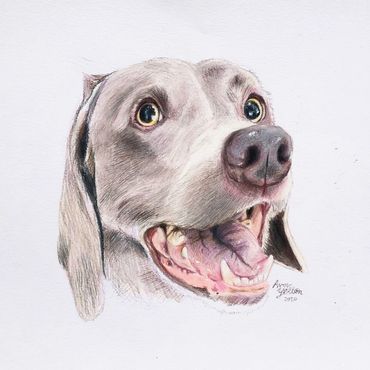 Prudence | 2020
colored pencil 9x9"
SOLD