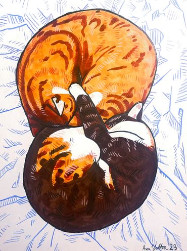 Dos Gatos | 2023
marker and colored pencil 9x11
