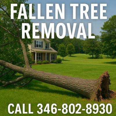 Fallen tree removal service near a residential house with contact number. 346-802-8930 