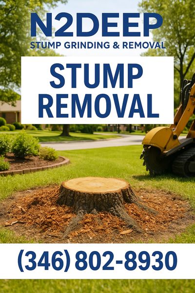 N2deep Stump Removal