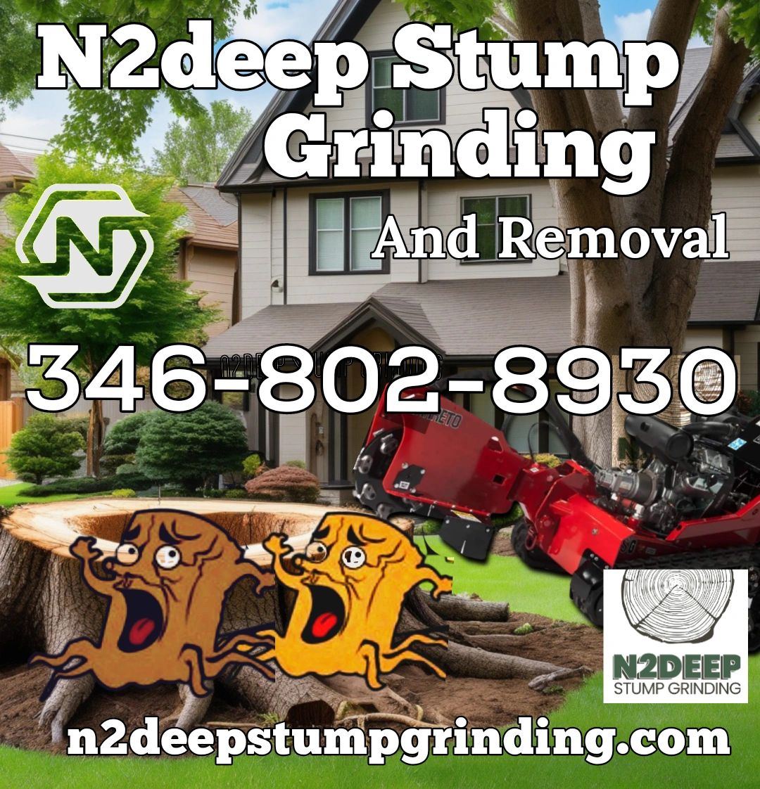 Debris Removal | Cutting Edge Stump Grinding Solutions