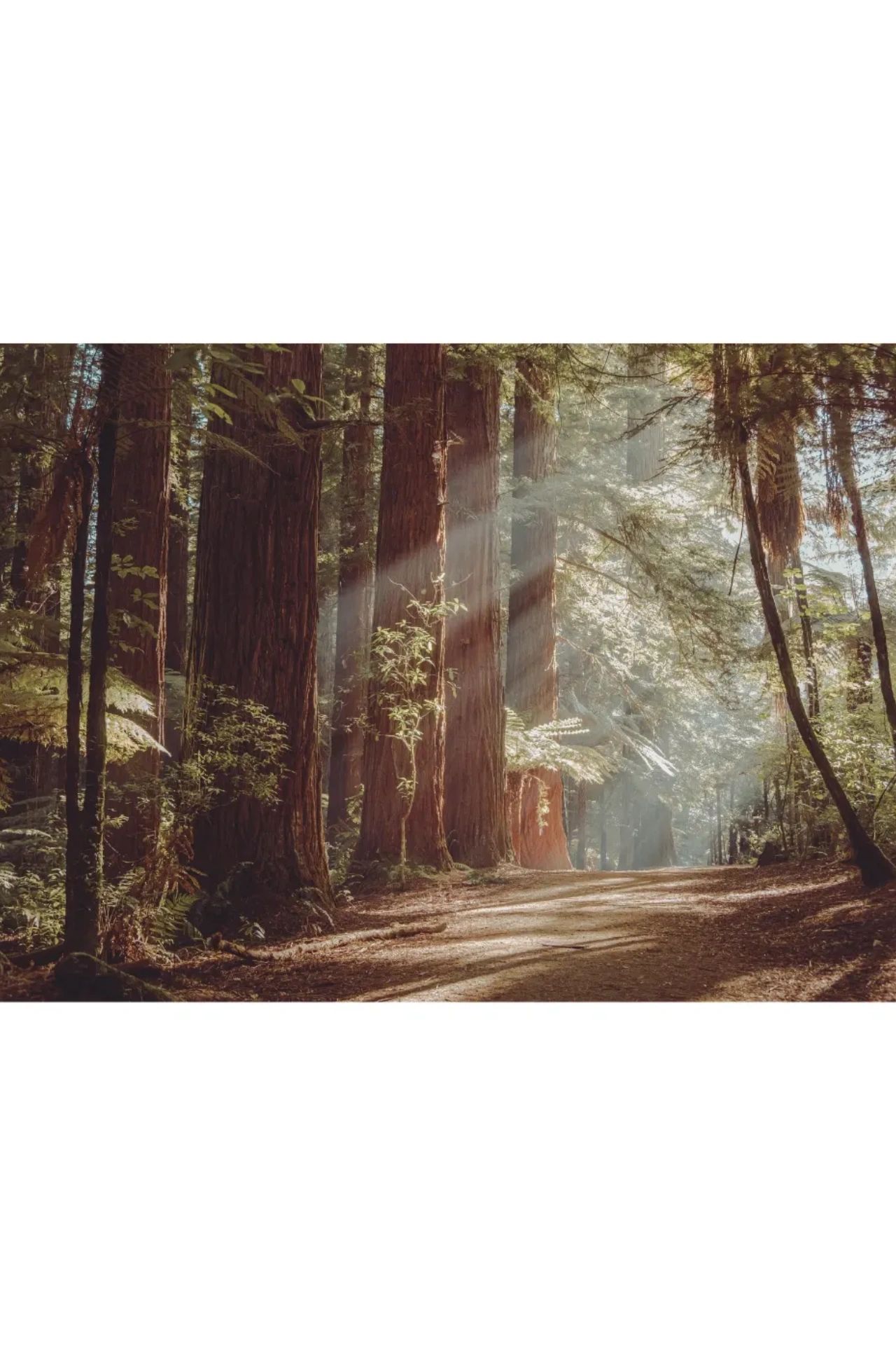 andrews-accounting-services