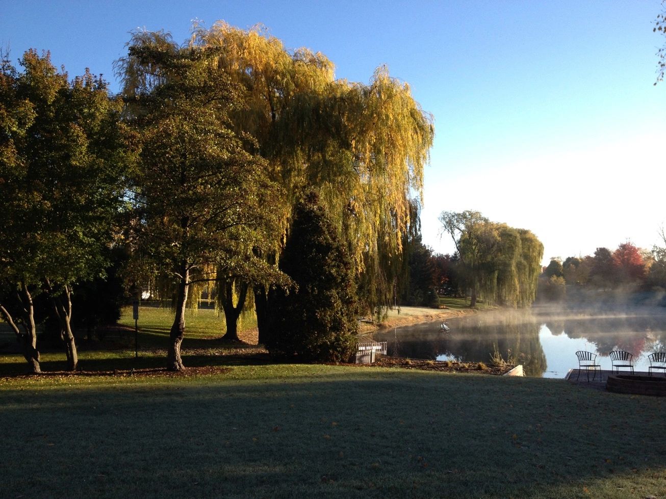 Willow Creek Single Family Homeowners Association