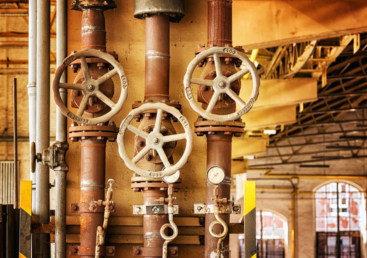 Photo Courtesy: Pexels