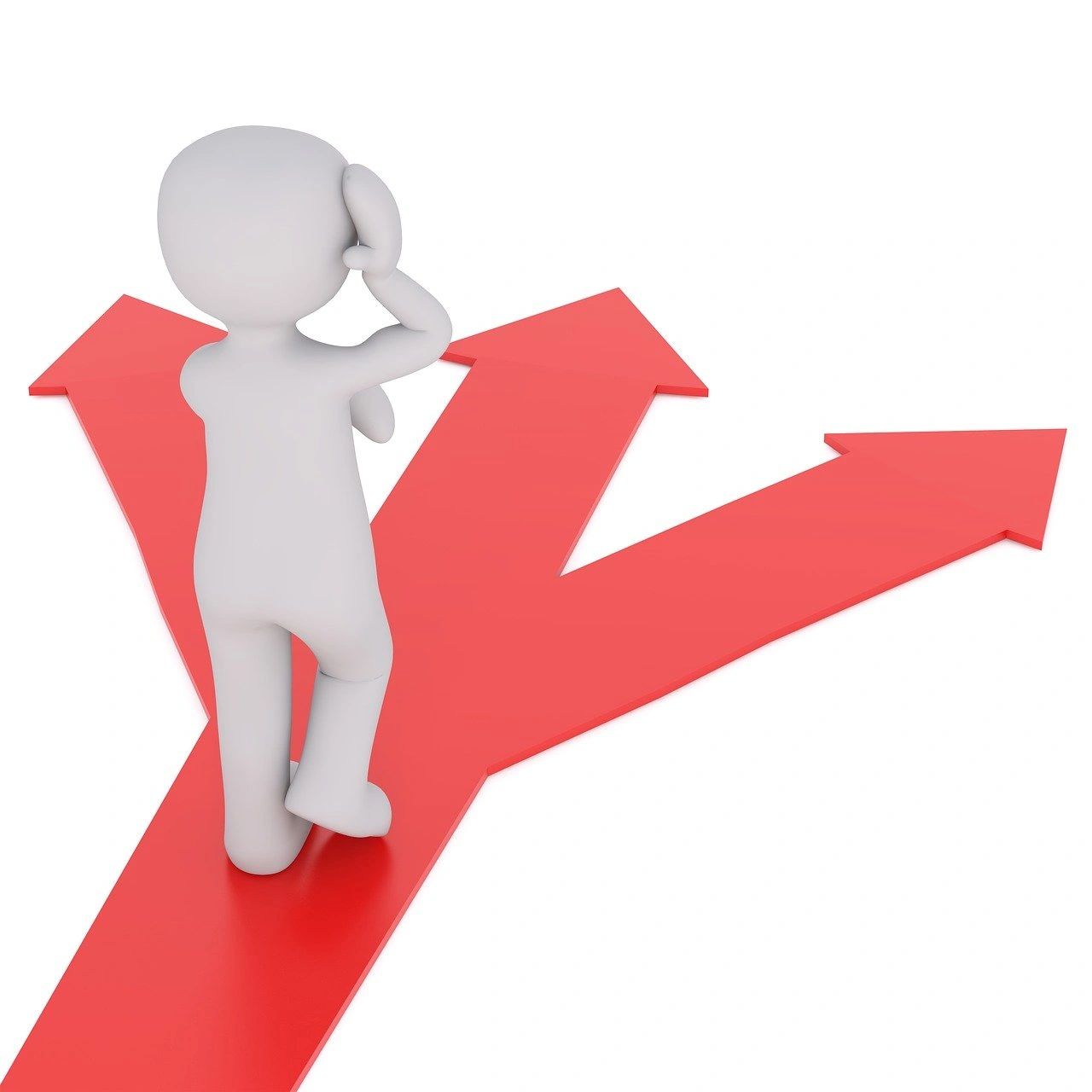 Should we go more Left or more Right?    (pic: Peggy Marco, Pixabay)