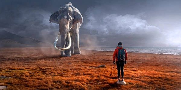 [By Stefan Keller, under Creative Commons. Cultural psychologist Jonathan Haidt uses the metaphor of the elephant and the rider to explain the relationship between the rational part of the brain and the ‘non-rational’, emotions and beliefs that guide human behaviour. The rider would like the elephant to obey his orders. But the rider must accept going with the elephant too.]