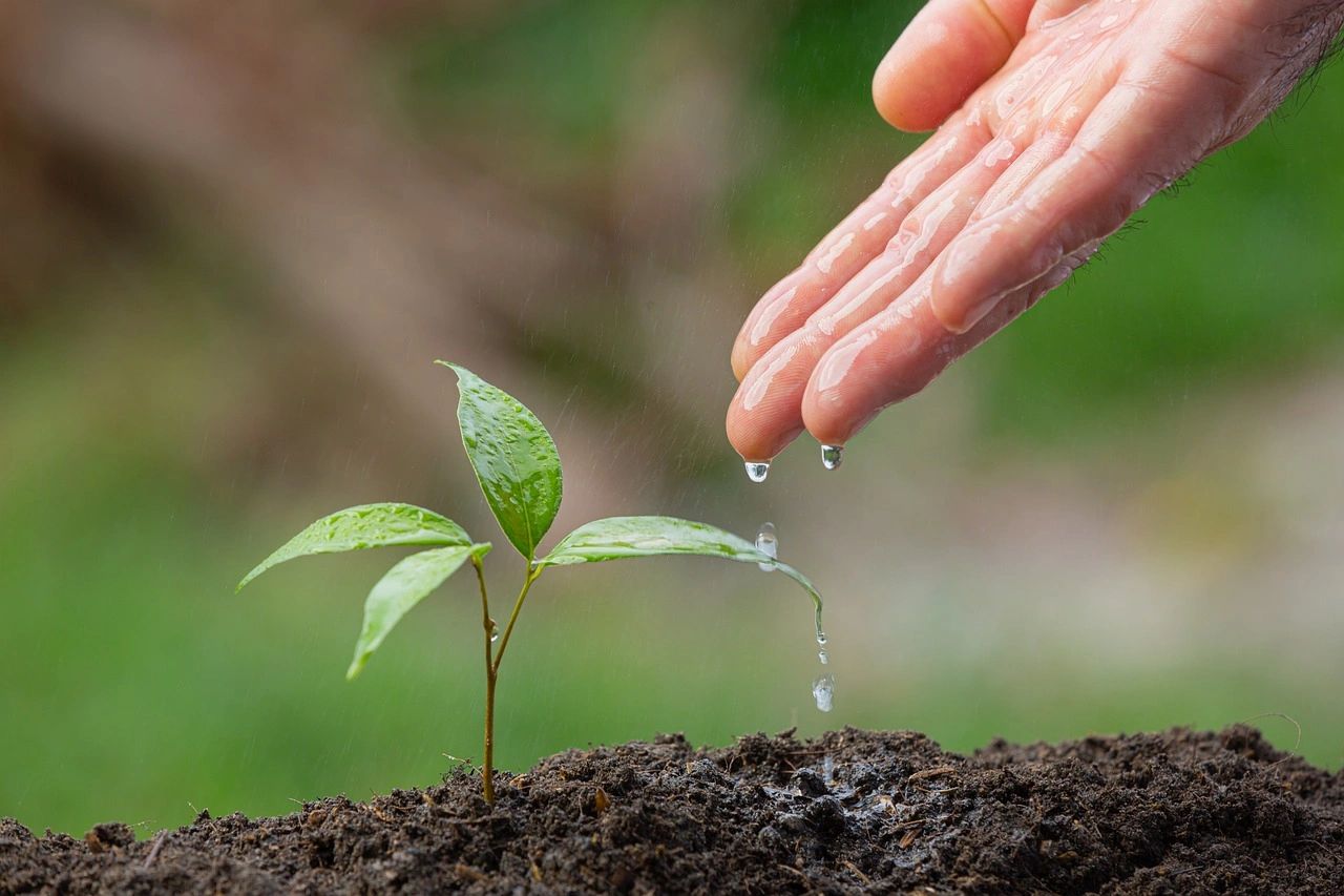 Nurturing the Earth: nurturing communities              (Pic: ParsanjitHaldar)