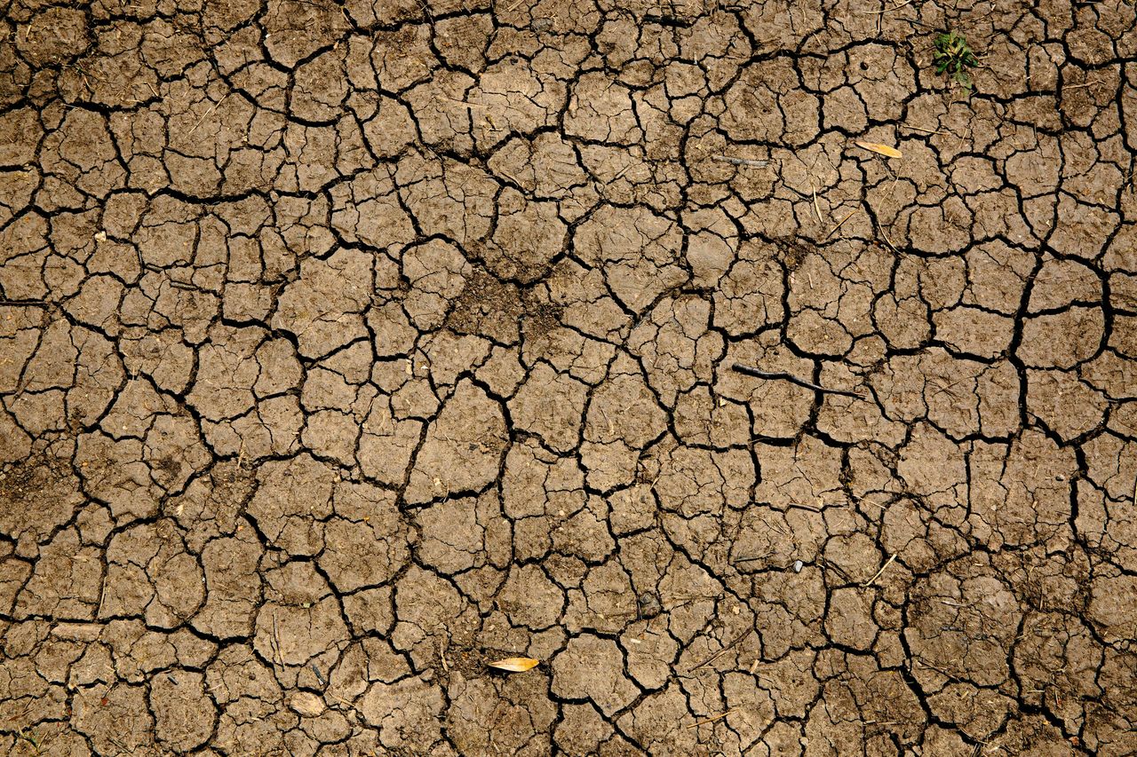 Privatisation of property has killed the Commons we need to sustain all life (Pic. Unsplash)