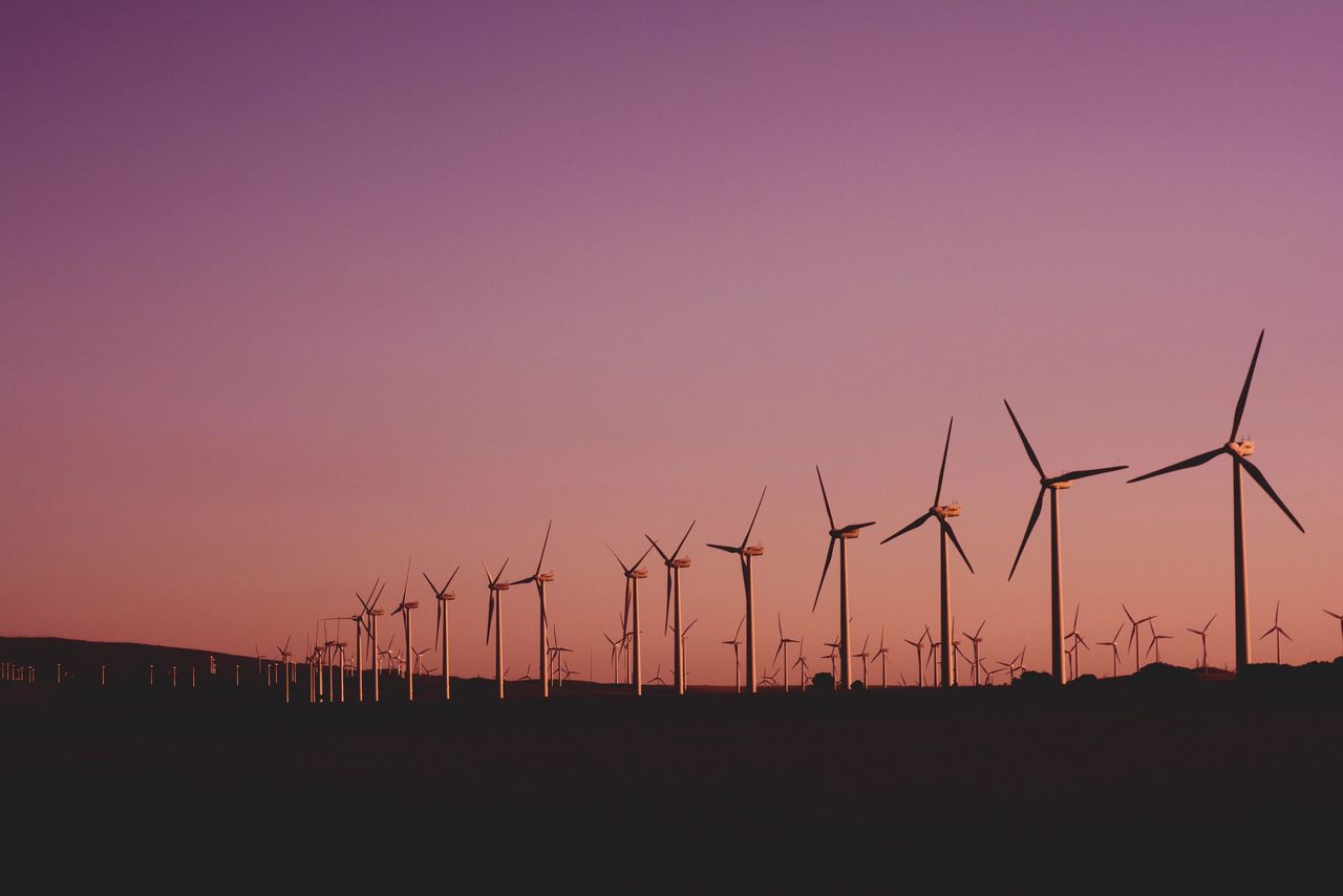 Photo courtesy: Pexels