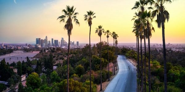 security guards in los angeles