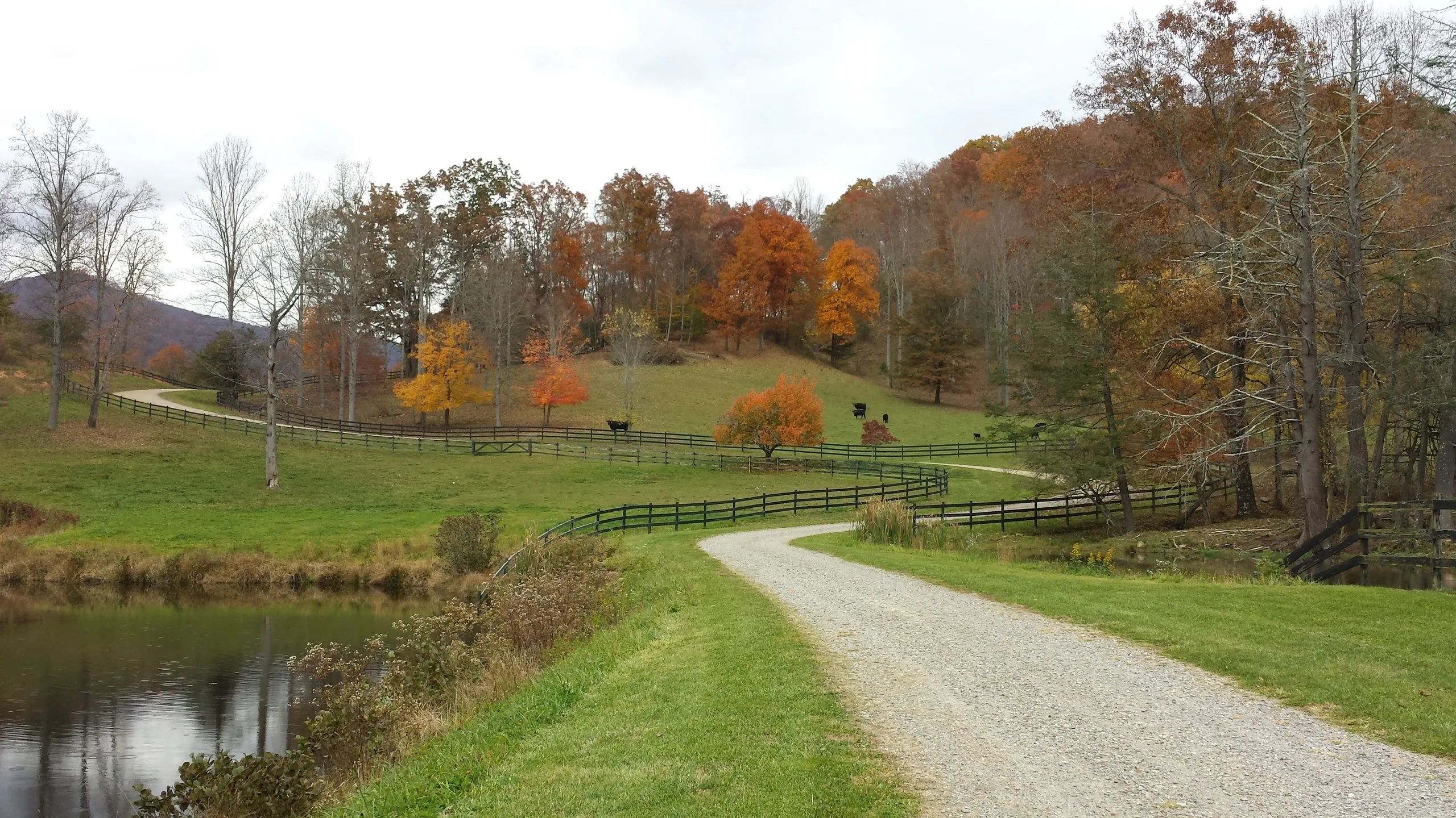 Western North Carolina Land Sales by Owner