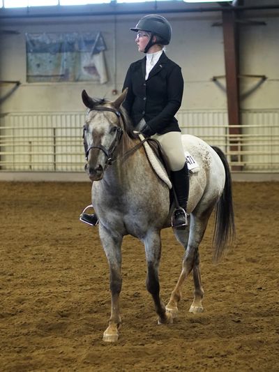 Teenage girl riding her POA in an English class in an indoor arena.