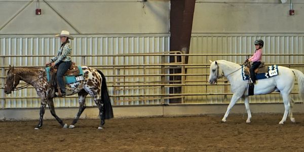 An adult rider and a young child riding in a walk-trot class at a show. 