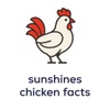 sunshines chicken facts